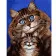 Картина за номерами Кішка з веселим кошеням 40х50 см VA-1425