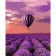 Paint by number VA-1481 "A hot air balloon over a lavender field", 40x50 cm