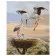 Paint by number VA-1610 "Storks in the nest", 40x50 cm