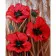 Картина за номерами Три червоних квітки маку 40х50 см VA-1680