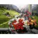 Картина «Букет квітів на фоні галявини», 40х50 см
