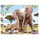 Paint by number Premium VA-1733 "Baby elephant and giraffe are best friends", 40x50 cm
