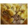 Картина за номерами Преміум Закохані леви 40х50 см VA-1766