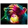 Paint by number Premium VA-2051 "Pop Art: Bright Monkey", 40x50 cm