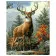 Paint by number VA-2070 "Majestic deer", 40x50 cm