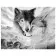 Картина за номерами Преміум Колаж з вовками 40х50 см VA-2115