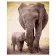 Картина по номерам Премиум Слон и слоненок 40х50 см VA-2118