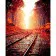 Paint by numbers Strateg PREMIUM Road between autumn treeswith varnish size 40х50 sm VA-2165