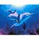 Картина по номерам Премиум Дельфины 40х50 см VA-2221