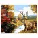 Картина за номерами Преміум Олені в лісі 40х50 см VA-2247