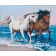 Paint by number Strateg Two horses on the seashore on a colored background, size 40x50 cm (VA-2531)