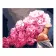 Картина за номерами Преміум Дівчина з рожевими півоніями 40х50 см VA-2533