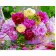 Paint by number Premium VA-2642 "Colorful bouquet 2", 40x50 cm