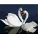 Paint by number Premium VA-2662 "Swans in the water", 40x50 cm