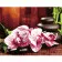Paint by number Premium VA-2670 "Bright orchids", 40x50 cm