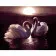 Paint by number Strateg Swans in love on a colored background, size 40x50 cm (VA-2671)