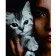 Paint by number Premium VA-2706 "Girl with a kitten", 40x50 cm