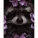 Paint by number Raccoon among flowers Strateg with varnish and level size 40x50 cm (VA-2759)