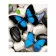 Картина по номерам Премиум Синие бабочки 40х50 см VA-2835