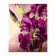Картина за номерами Преміум Фіолетові іриси 40х50 см VA-2839