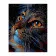 Картина за номерами Кіт з яскравими очима 40х50 см VA-2842