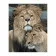 Картина за номерами Лев із левицею 40х50 см VA-2848