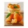 Paint by number Strateg Premium VA-2860 "Tangerines 2", 40x50 cm