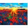 Paint by number Premium VA-2916 "Bright poppy field", 40x50 cm