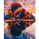 Paint by number Premium VA-2927 "Bright balloons", 40x50 cm