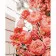 Картина за номерами Преміум Прекрасні троянди 40х50 см VA-3212