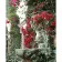 Paint by number Premium VA-3217 "Red Flowers Garden", 40x50 cm