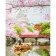 Paint by number Premium "Sakura in China" with varnish 40x50 cm