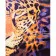 Картина за номерами Преміум Погляд леопарда з лаком  40х50 см VA-3366