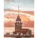 Картина за номерами Преміум Пейзажі Стамбула з лаком  40х50 см VA-3383