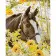 Картина за номерами Преміум Кінь у квітах з лаком та рівнем  40х50 см VA-3393