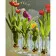 Paint by number Premium "Tulips in glasses" with varnish 40x50 cm