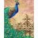 Paint by number Premium Peacock on the gate 40x50 cm VA-3414