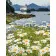 Paint by number Premium Dream Landscape 40x50 cm VA-3439