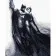 Paint by numbers Strateg PREMIUM Batman and the Cat with varnish size 40х50 sm VA-3538