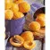 Paint by number Juicy apricots Strateg with varnish size 40x50 cm (VA-3573)