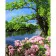 Paint by numbers Strateg PREMIUM Flowers by the waterwith varnish size 40х50 sm VA-3693