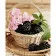 Paint by numbers Strateg PREMIUM Blackberry basketwith varnish size 40х50 sm VA-3696