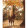 Paint by numbers Strateg PREMIUM Horse in autumn with varnish size 40х50 sm VA-3703