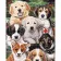 Paint by numbers Strateg PREMIUM Puppieswith varnish size 40х50 sm VA-3706