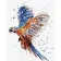 Paint by numbers Strateg PREMIUM Colored parrotwith varnish size 40х50 sm VA-3732