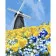 Paint by numbers Strateg PREMIUM Windmill on the fieldwith varnish size 40х50 sm VA-3737