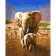 Paint by numbers Strateg PREMIUM Africanswith varnish size 40х50 sm VA-3746