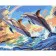 Painting by numbers Strateg PREMIUM Dance of two dolphins with varnish and level size 40x50 cm (VA-4626)