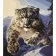 Painting by numbers Strateg PREMIUM Snowy fury of a tiger with varnish and level size 40x50 cm (VA-4630)