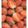 Painting by numbers Strateg PREMIUM Fragrant strawberries with varnish and level size 40x50 cm (VA-4661)